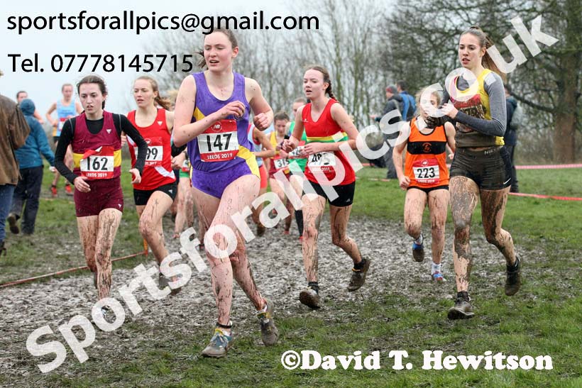 Senior girls 2019 New Balance English Schools Cross Country Champs, Temple Newsam, Leeds. Photo:  David T. Hewitson/Sports for All Pics
